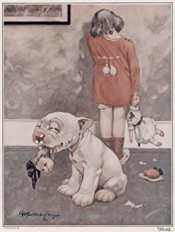 <b class=qtipBold><figcaption>A Capital Levy by George Studdy</figcaption></b><br>Bonzo finds that Labour policy is worth following on occasion, and makes Capital Levy on his little mistress's presents. A rather tragic scene showing a little girl weeping after her naughty dog, Bonzo has ripped the head off her doll. Transformed into a political metaphor by the creator of the comic canine, artist George Studdy. Credit line must read: Estate of George Studdy/Gresham Marketing Ltd./Mary Evan"<br><em>© Estate of George Studdy/Gresham Marketing Ltd./Mary Evans</em> A Capital Levy by George Studdy