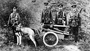 Captain H. Furber, of the 3rd Batt. Welsh Regiment, experiment in dog traction for machine guns Captain H. Furber, of the 3rd Batt. Welsh Regiment, experiment in dog traction for machine guns