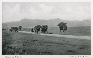 Silk Gallery: Caravan to Peshawar