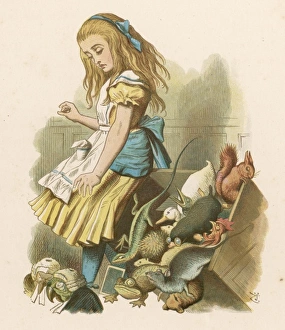 <b class=qtipBold><figcaption>Carroll/Alice at Trial</figcaption></b><br>ALICE & THE JURY<br><em>© Mary Evans Picture Library</em> Carroll/Alice at Trial
