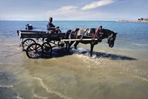 A carter drives his horse into the water for a drink, Konya A carter drives his horse into the water for a drink, Konya