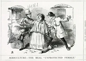 Cartoon, Agriculture -- The Real Unprotected Female Cartoon, Agriculture -- The Real Unprotected Female