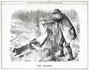 Cartoon, The Bag-Fox (Gladstone) Cartoon, The Bag-Fox (Gladstone)