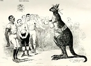 Cartoon, Boxing Kangaroo, What is the profession coming to? Cartoon, Boxing Kangaroo, What is the profession coming to?