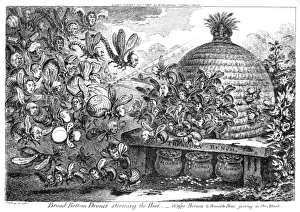 Wasps Gallery: Cartoon, Broad Bottom Drones storming the Hive