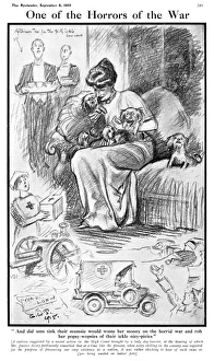 Cartoon criticising dogs given luxury food in wartime, WW1 Cartoon criticising dogs given luxury food in wartime, WW1