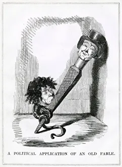 Cartoon, A Political Application of an Old Fable Cartoon, A Political Application of an Old Fable