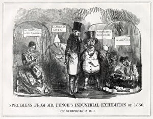 Awareness Gallery: Cartoon, Specimens from Mr Punchs Industrial Exhibition