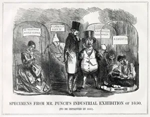 Cartoon, Specimens from Mr Punch's Industrial Exhibition Cartoon, Specimens from Mr Punch's Industrial Exhibition