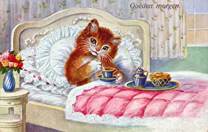 Cat in bed on a Dutch greetings postcard Cat in bed on a Dutch greetings postcard