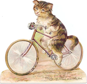 Cat on a bicycle on a cutout Christmas card Cat on a bicycle on a cutout Christmas card