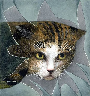 <b class=qtipBold><figcaption>Cat and Broken Window</figcaption></b><br>An orange and black cat looks through a broken windowpane.<br><em>© Mary Evans Picture Library</em> Cat and Broken Window