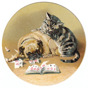 Cat and dog on a circular greetings card Cat and dog on a circular greetings card
