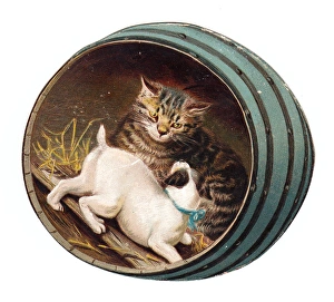 Cat and dog inside a barrel on a cutout Christmas card Cat and dog inside a barrel on a cutout Christmas card