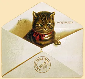 <b class=qtipBold><figcaption>Cat in Envelope</figcaption></b><br>A kitten pops its head out of an envelope.<br><em>© Mary Evans Picture Library</em> Cat in Envelope