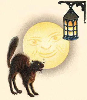 Cat hissing at a lantern as the moon looks Cat hissing at a lantern as the moon looks