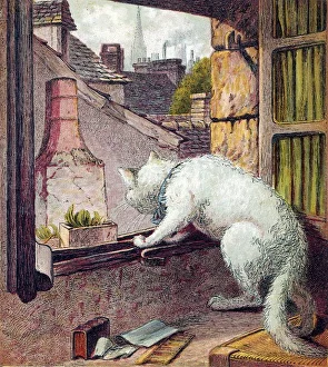 <b class=qtipBold><figcaption>Cat Looks out of Window</figcaption></b><br>A white cat contemplates the outside world through an open window.<br><em>© Mary Evans Picture Library</em> Cat Looks out of Window