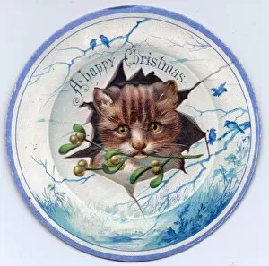Images Dated 2nd December 2015: Cat on plate design on a Christmas card