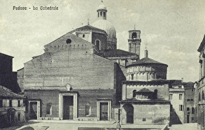 Cathedral of the Assumption of Mary of Padua Cathedral of the Assumption of Mary of Padua