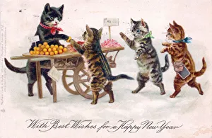 Cats buying fruit on a New Year postcard Cats buying fruit on a New Year postcard