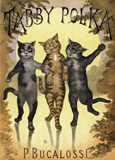 <b class=qtipBold><figcaption>Cats Dancing a Polka</figcaption></b><br>TABBY POLKA A trio of cats with arms linked dance a polka by moonlight.<br><em>© Mary Evans Picture Library</em> Cats Dancing a Polka