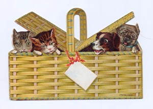 Cats and dogs in a basket on a cutout greetings card Cats and dogs in a basket on a cutout greetings card