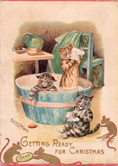 Three cats getting ready for Christmas Three cats getting ready for Christmas