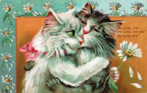 Postcard Collection: Two cats by Louis Wain on a romantic postcard