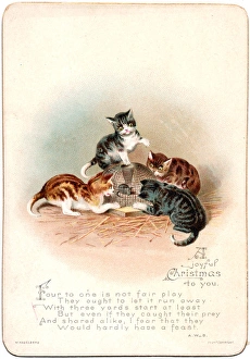 Four cats and a mouse on a Christmas card Four cats and a mouse on a Christmas card