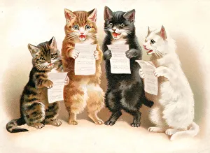 Four cats singing on a greetings postcard Four cats singing on a greetings postcard
