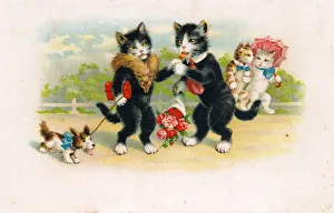 Cats out for a walk on a French postcard Cats out for a walk on a French postcard