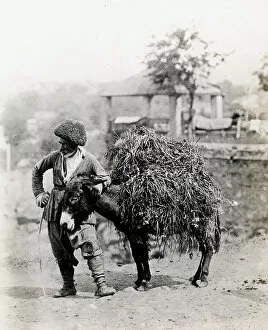 Caucasus Collection: Caucasus Georgia Tiflis Tblisi-donkey with load & Armenian d