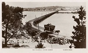 The Causeway, Victor Harbour, Australia The Causeway, Victor Harbour, Australia