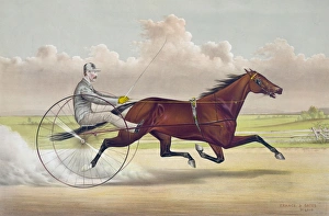 The celebrated trotting mare Hattie Woodward, by Aberdeen, d The celebrated trotting mare Hattie Woodward, by Aberdeen, d