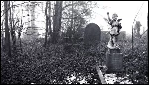 Images Dated 9th January 2008: Cemetry with stone cherub or angel