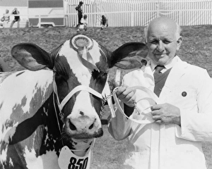 Champion cow at the Royal Cornwall Show Champion cow at the Royal Cornwall Show