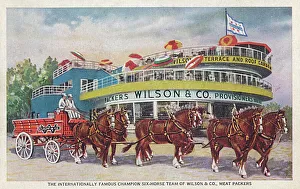Champion Six-horse team of Wilson & Co. Meat Packers Champion Six-horse team of Wilson & Co. Meat Packers