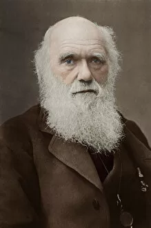 Theory Gallery: Charles Darwin - English Naturalist