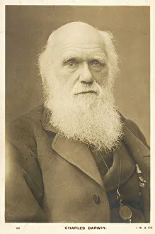 <b class=qtipBold><figcaption>Charles Darwin/Photo</figcaption></b><br>FRENCH EXPEDITION Juarez's guerrillas led by Pedro Mendez set light to a warehouse at Tantoyuquita<br><em>© Mary Evans Picture Library 2015 - https://copyrighthub.org/s0/hub1/creation/maryevans/MaryEvansPictureID/10025384</em> Charles Darwin/Photo