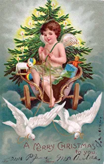 Cherub with doves and chariot on a Christmas postcard Cherub with doves and chariot on a Christmas postcard