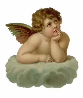 Putti Collection: Cherub Looking to Right