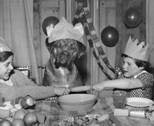 Two children and dog enjoying a Christmas tea party Two children and dog enjoying a Christmas tea party