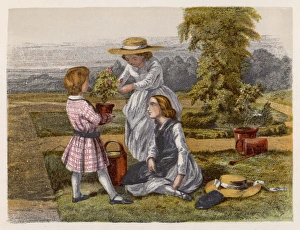 <b class=qtipBold><figcaption>Children Plant a Rose</figcaption></b><br>Three children with potted plants in a garden on a summers day<br><em>© Mary Evans Picture Library</em> Children Plant a Rose