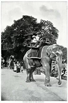 Rides Collection: Children riding elephants at Zoological Gardens 1896