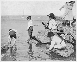 <b class=qtipBold><figcaption>Children/Seaside Paddle</figcaption></b><br>Children paddling and climbing on rocks on the beach. Date: 1903<br><em>© Mary Evans Picture Library</em> Children/Seaside Paddle