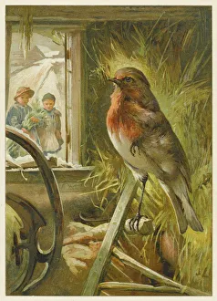 <b class=qtipBold><figcaption>Children Watch Robin</figcaption></b><br>Two children watch a robin the barn who is standing on one leg.<br><em>© Mary Evans Picture Library</em> Children Watch Robin