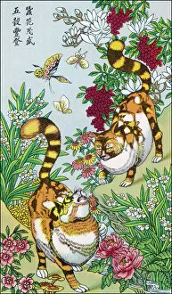 Silkworm Gallery: Chinese Cats / Silkworms