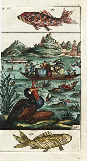 Chinese fishermen using cormorants to catch fish on a river Chinese fishermen using cormorants to catch fish on a river