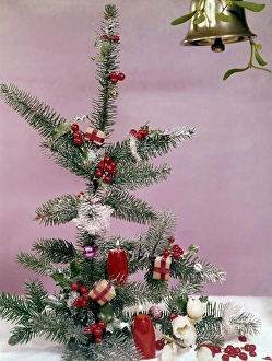 Christmas arrangement of tree, holly and candles Christmas arrangement of tree, holly and candles