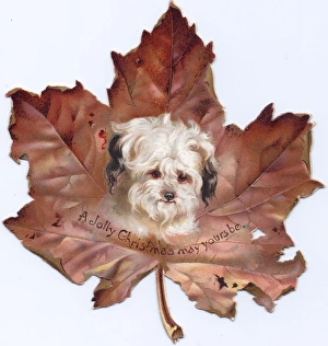 Christmas card in the shape of an autumn leaf Christmas card in the shape of an autumn leaf